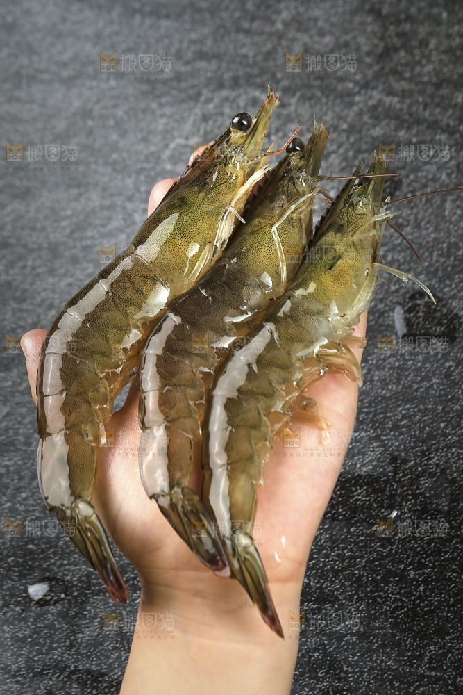 手里拿着青岛大虾