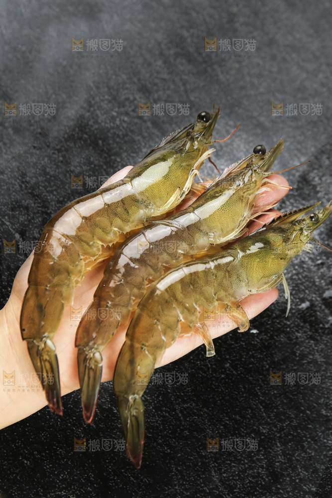 手里拿着青岛大虾