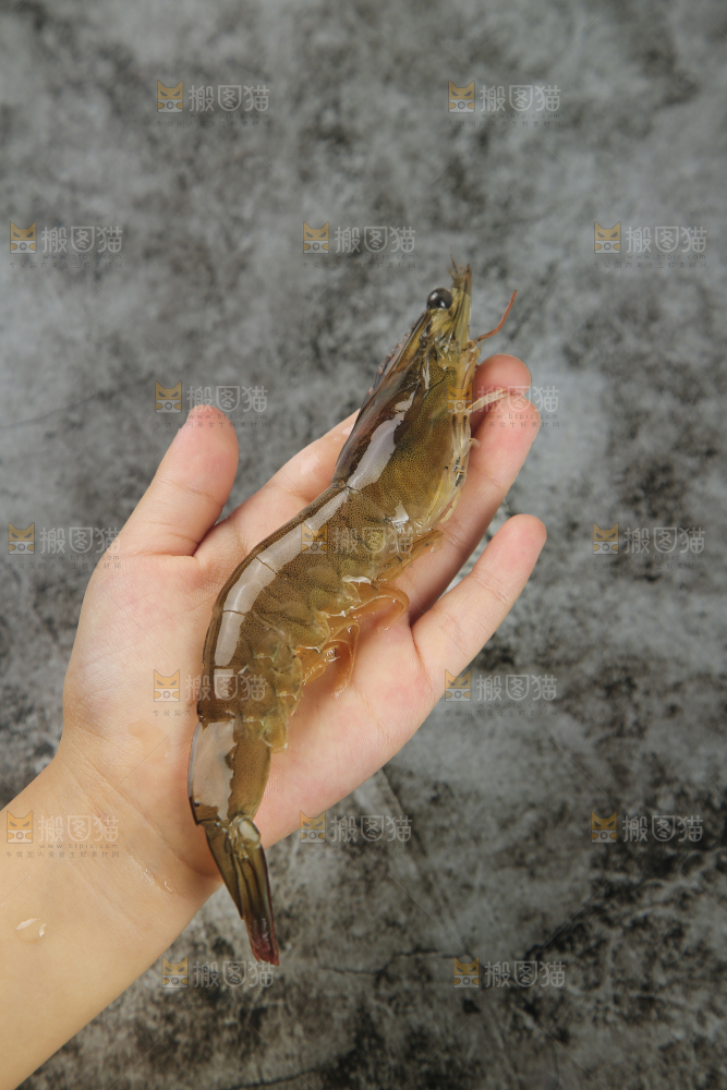 手里拿着青岛大虾