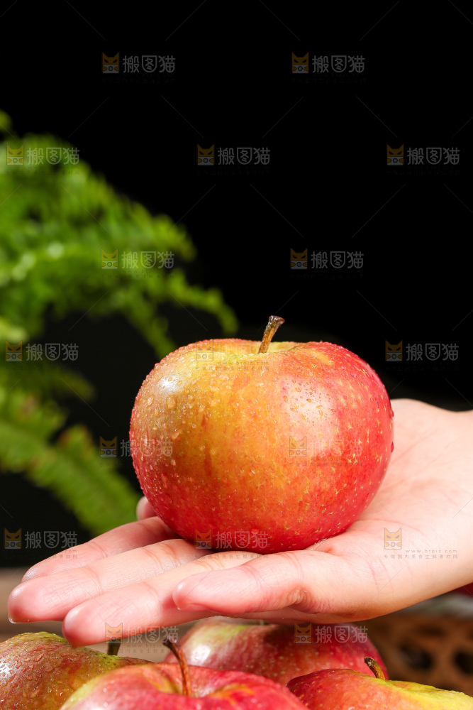 深底上的国光苹果