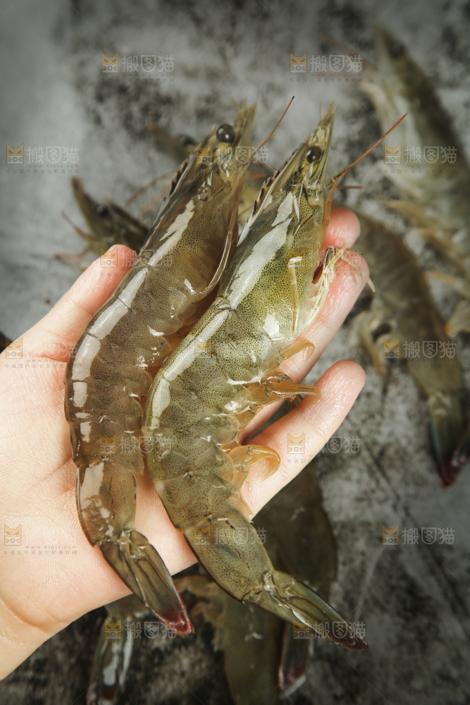手里拿着青岛大虾