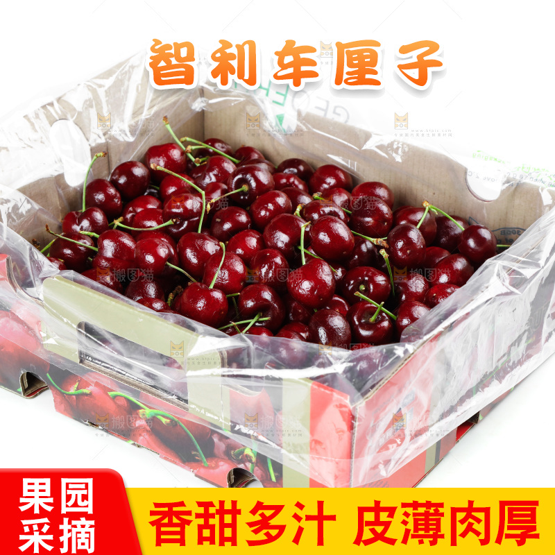 白底上的车厘子