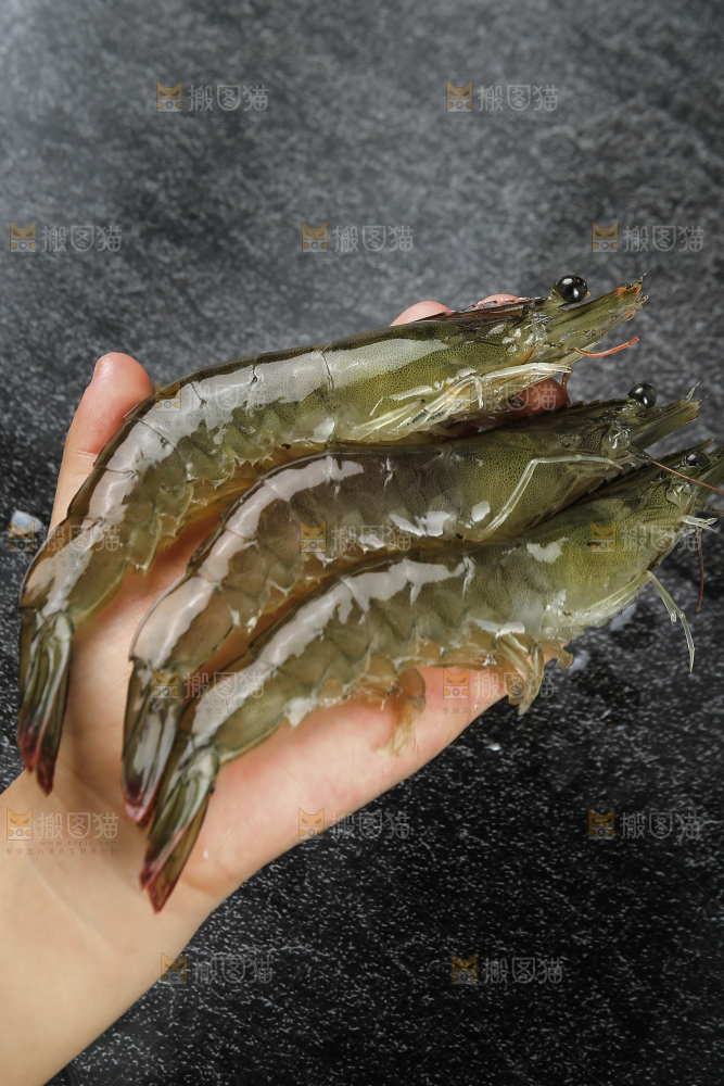 手里拿着青岛大虾