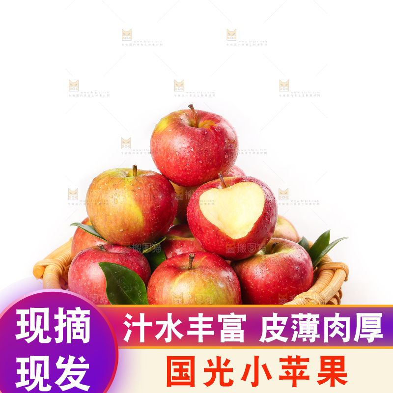 白底上的国光苹果