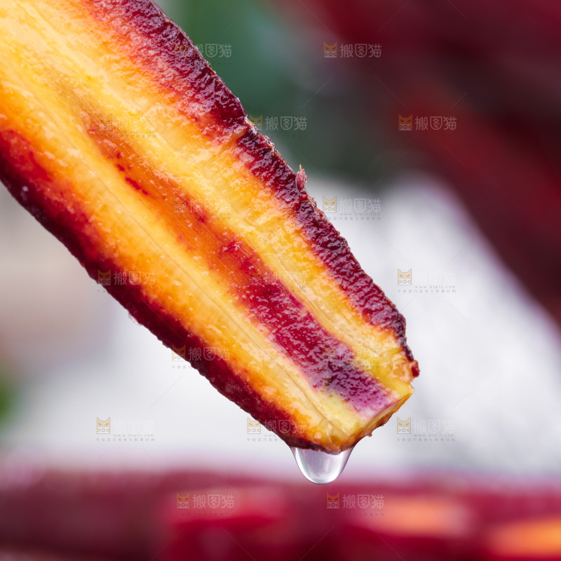 浅底上的紫胡萝卜
