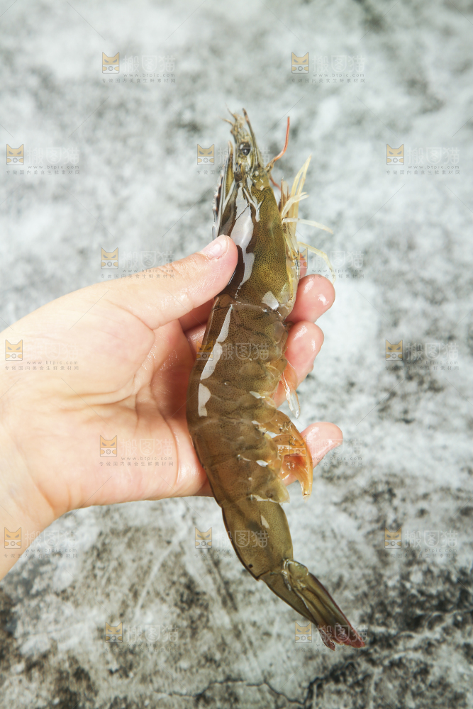 手里拿着青岛大虾