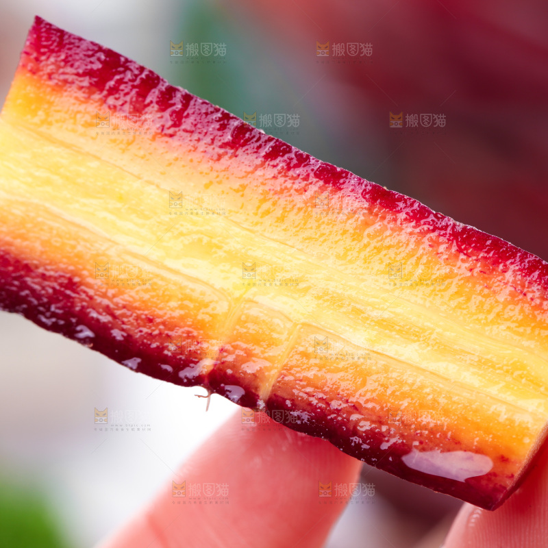 浅底上的紫胡萝卜