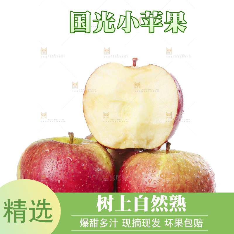 白底上的国光苹果