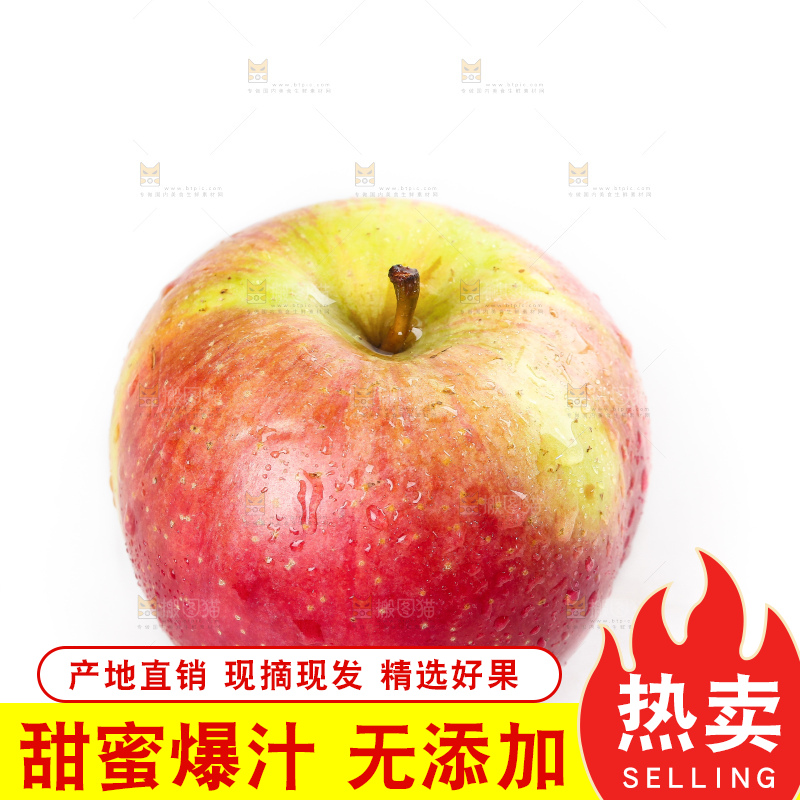 白底上的国光苹果