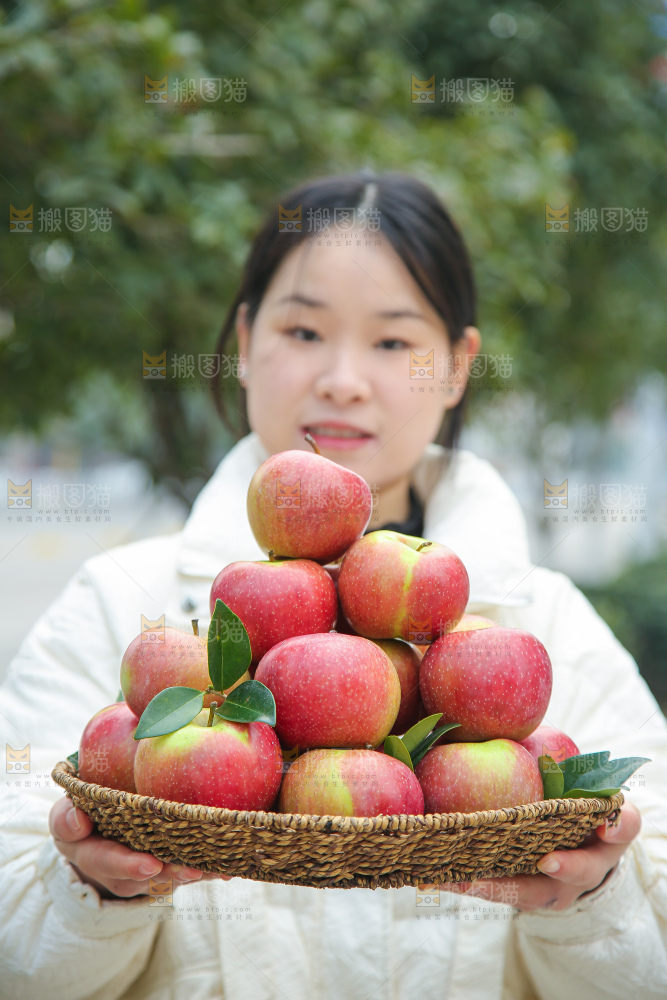 手里拿着国光苹果
