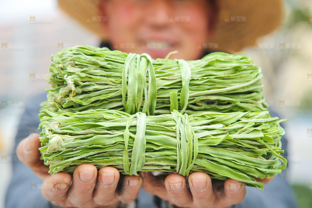 贡菜
