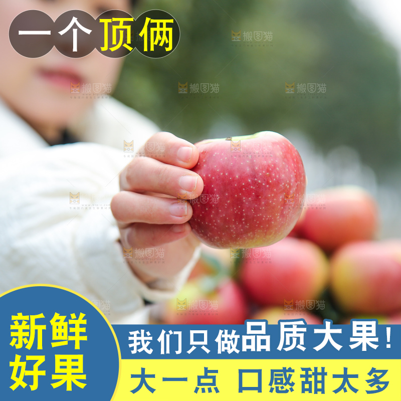 手里拿着国光苹果