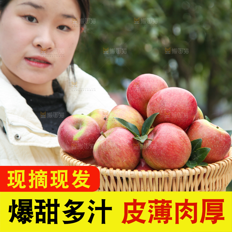 手里拿着国光苹果