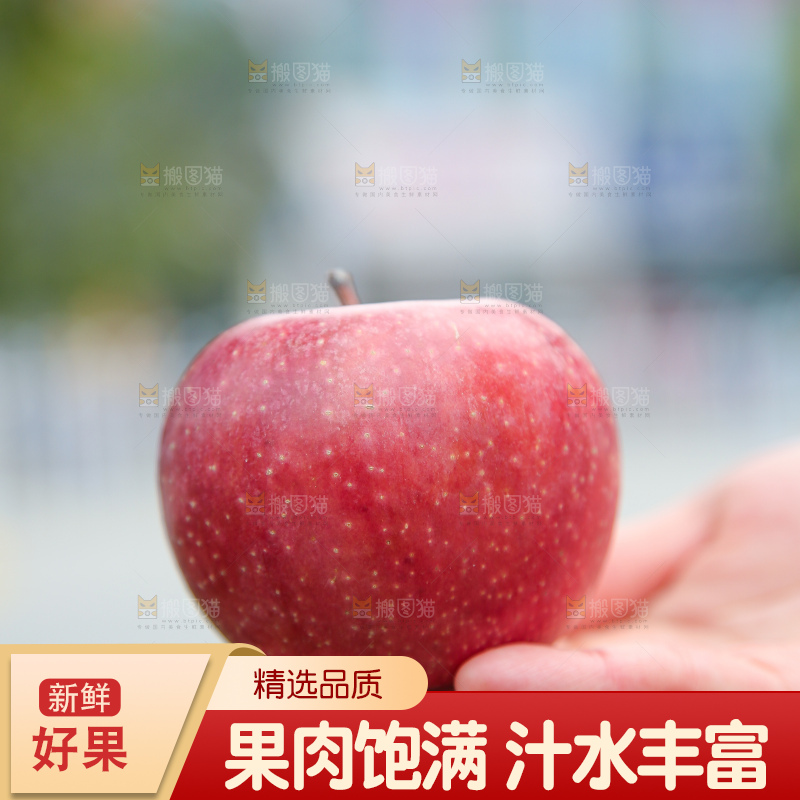 手里拿着国光苹果