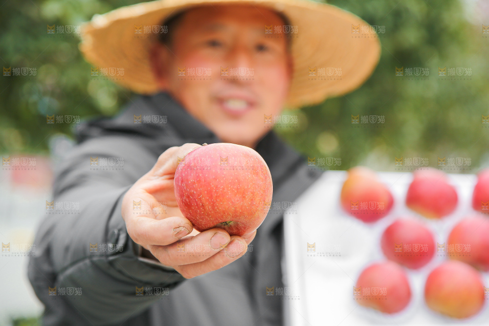 手里拿着国光苹果