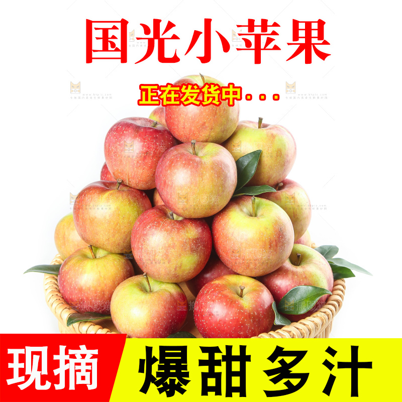 白底上的国光苹果
