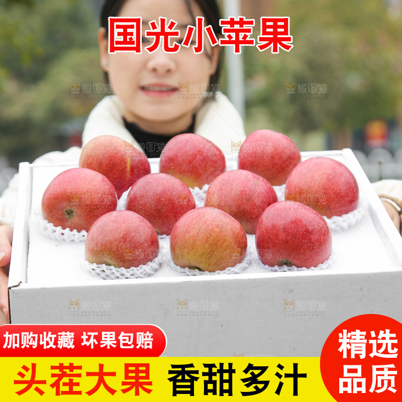 手里拿着国光苹果