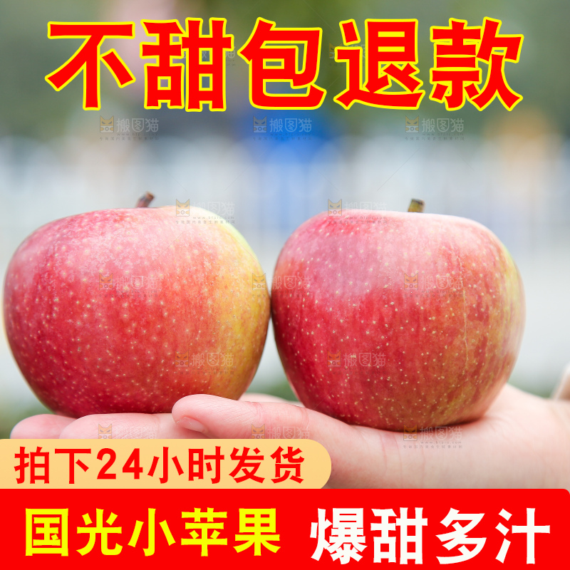 手里拿着国光苹果