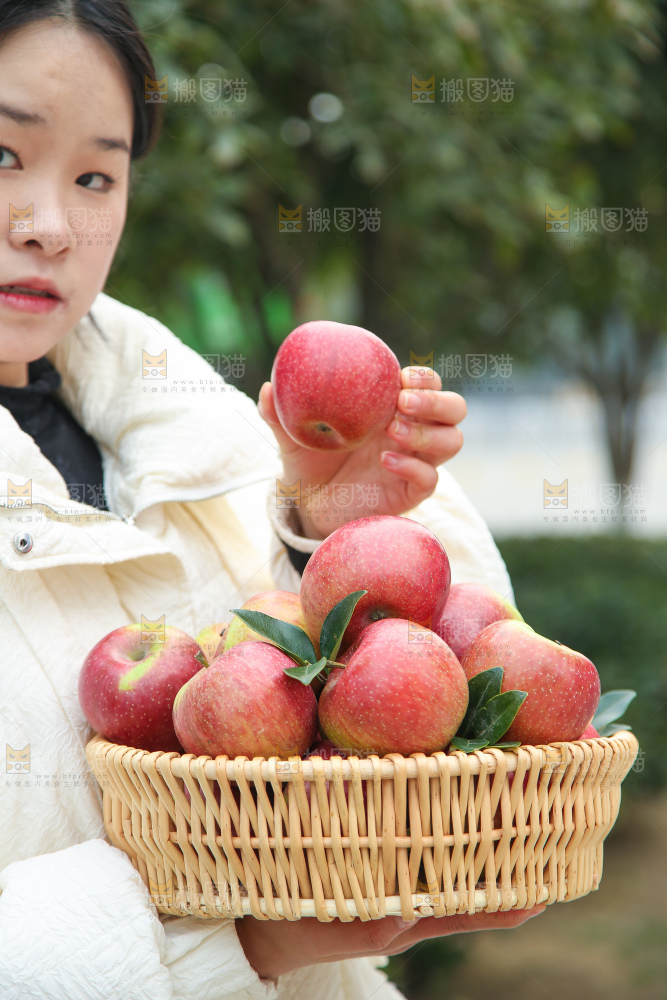 手里拿着国光苹果