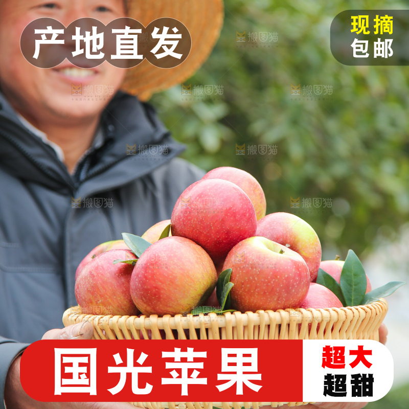 手里拿着国光苹果