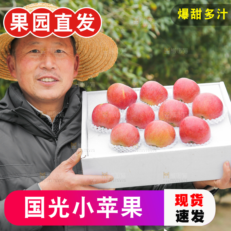手里拿着国光苹果