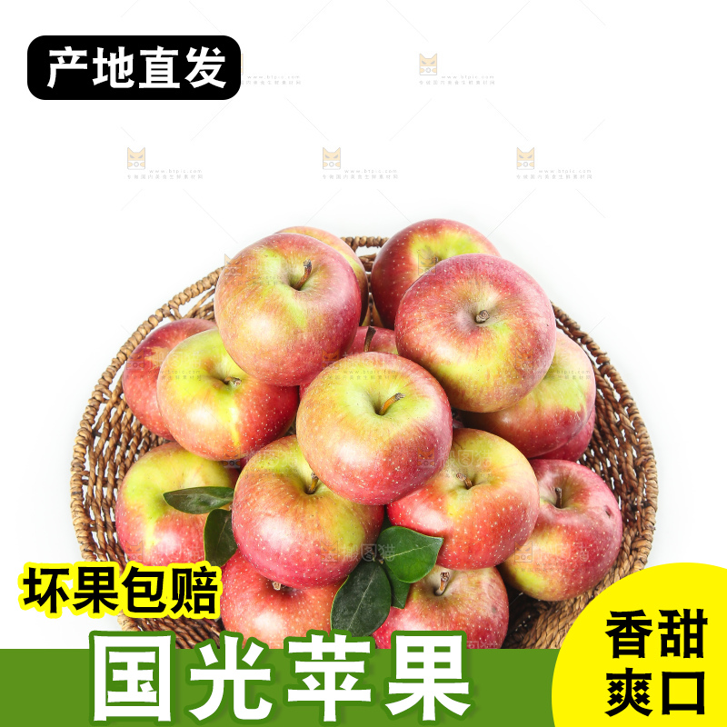 白底上的国光苹果