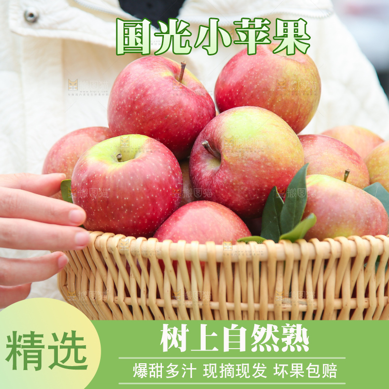 手里拿着国光苹果
