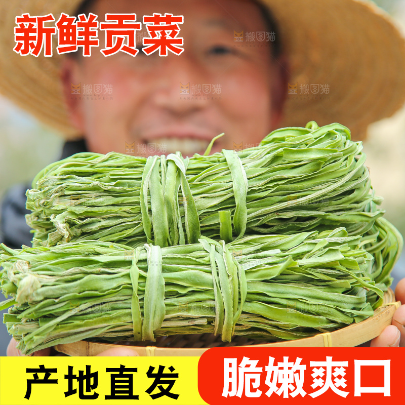 手里拿着贡菜