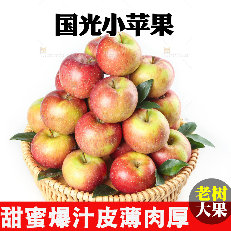 白底上的国光苹果