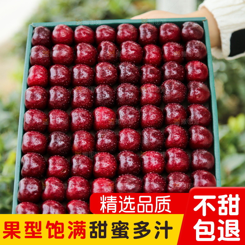 手里拿着智利车厘子