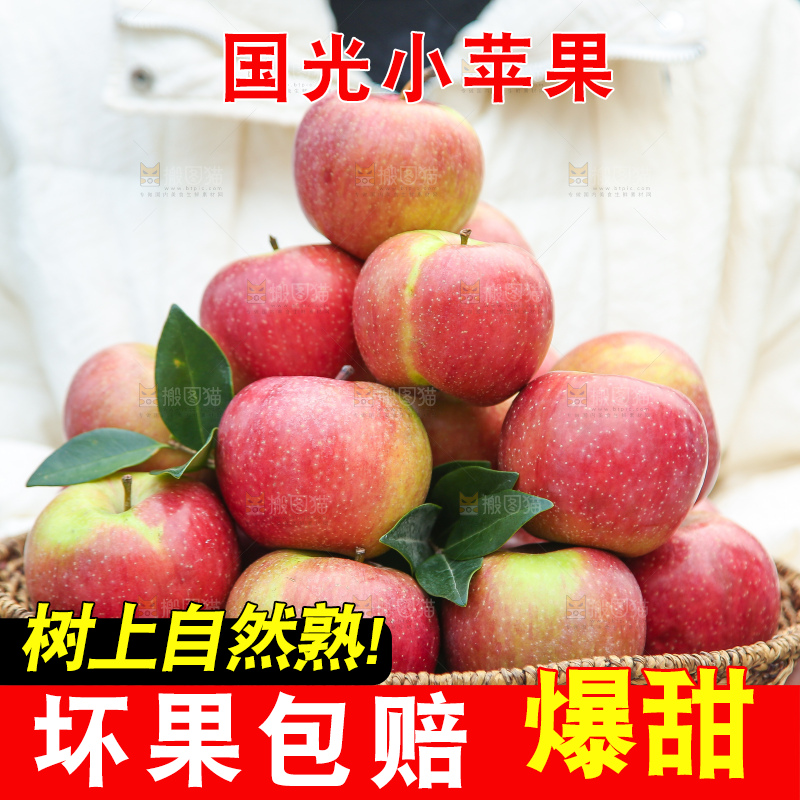 手里拿着国光苹果