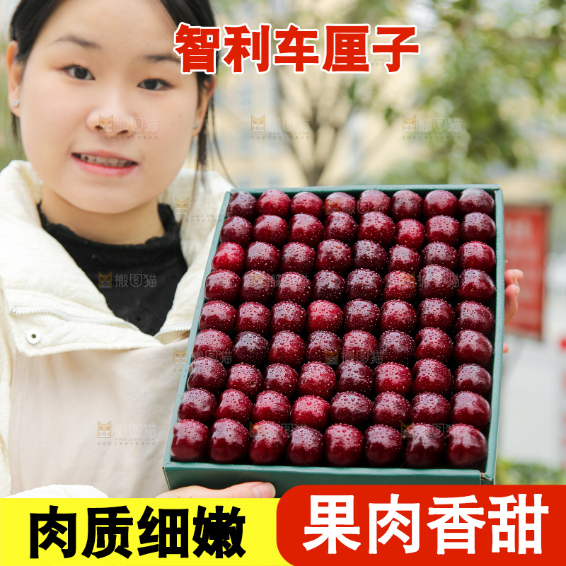 手里拿着智利车厘子