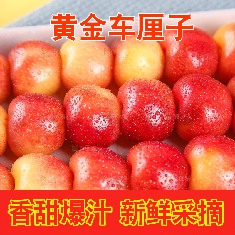 浅底上的黄金车厘子