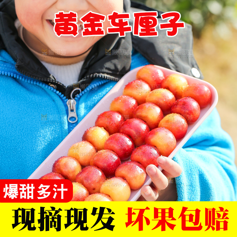 手里拿着黄金车厘子