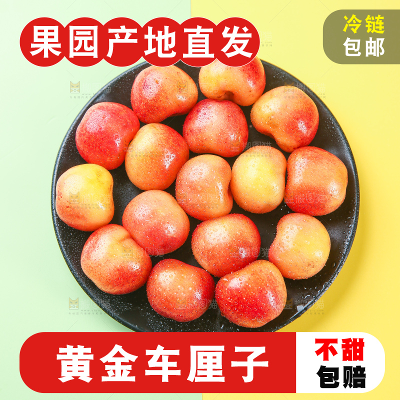 浅底上的黄金车厘子