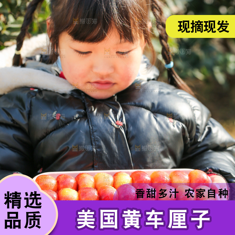 手里拿着黄金车厘子