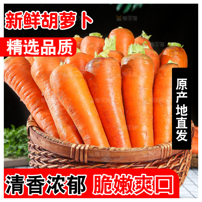 浅底上的胡萝卜
