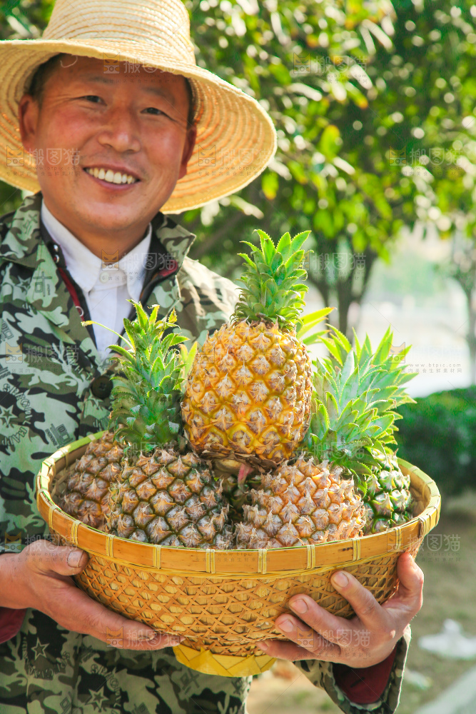 手里拿着徐闻菠萝