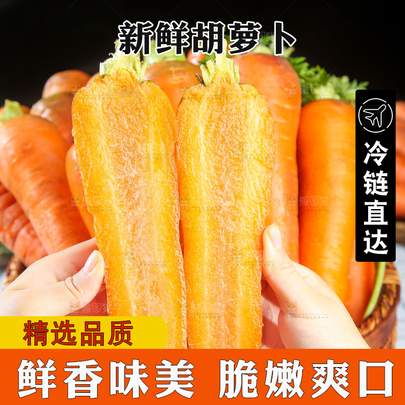 浅底上的胡萝卜