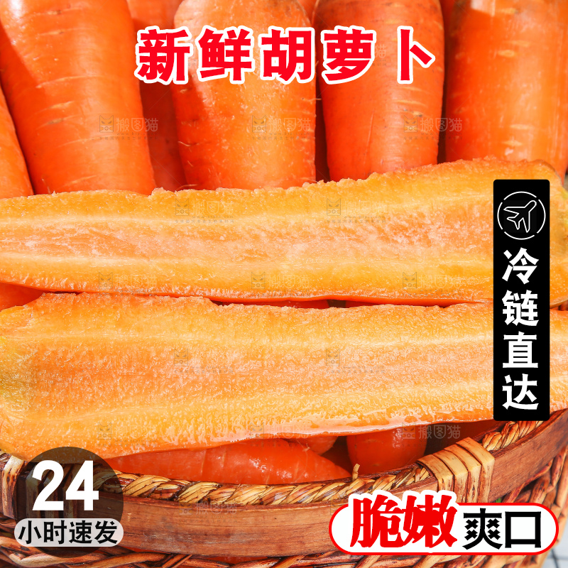 浅底上的胡萝卜