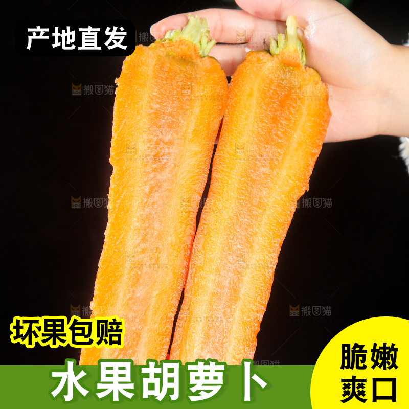 浅底上的胡萝卜