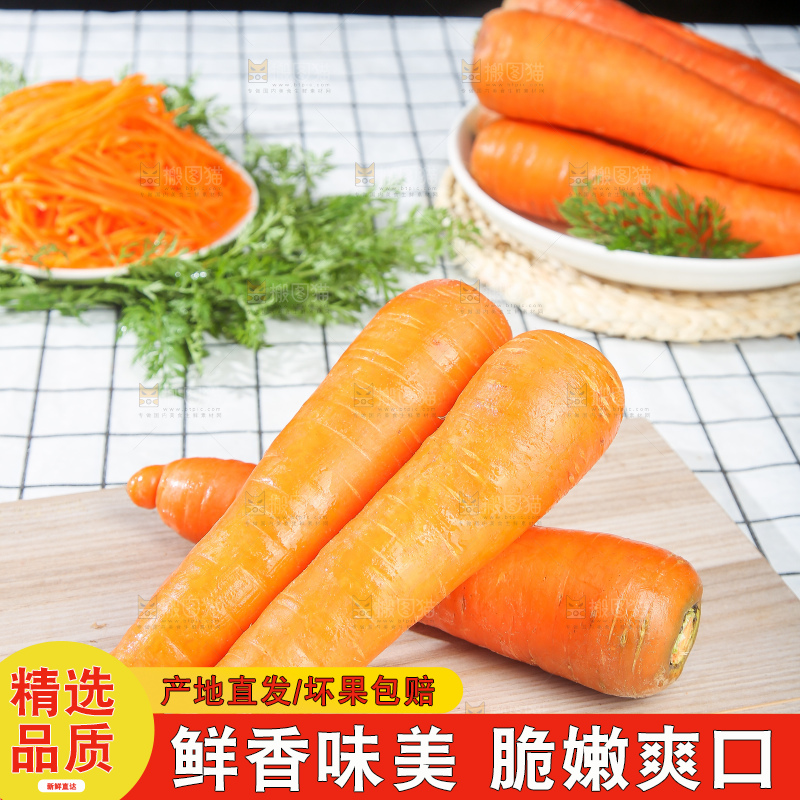 浅底上的胡萝卜