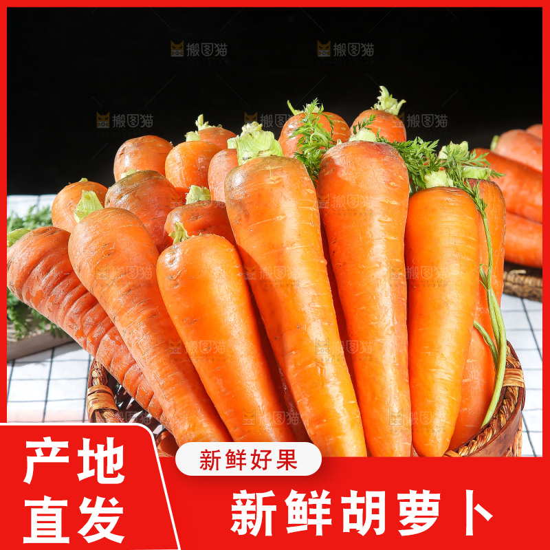 浅底上的胡萝卜
