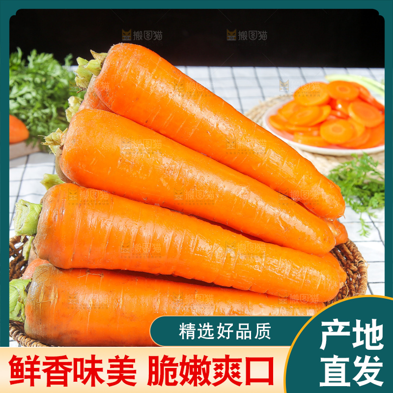 浅底上的胡萝卜