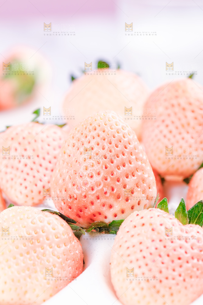 淡雪草莓