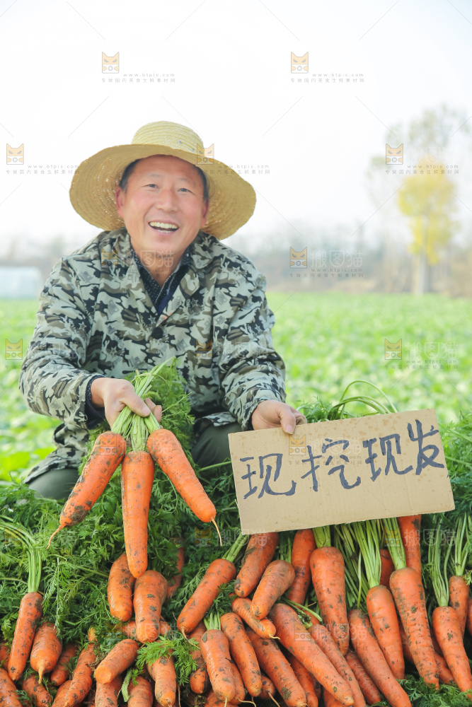 手里拿着胡萝卜