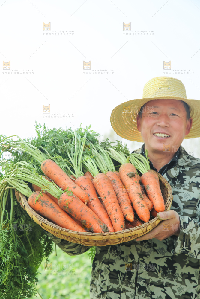手里拿着胡萝卜