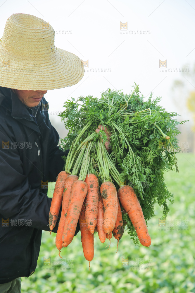 手里拿着胡萝卜
