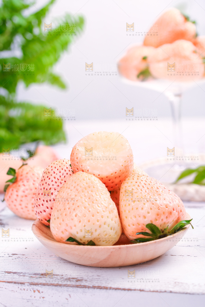 浅底上的淡雪草莓