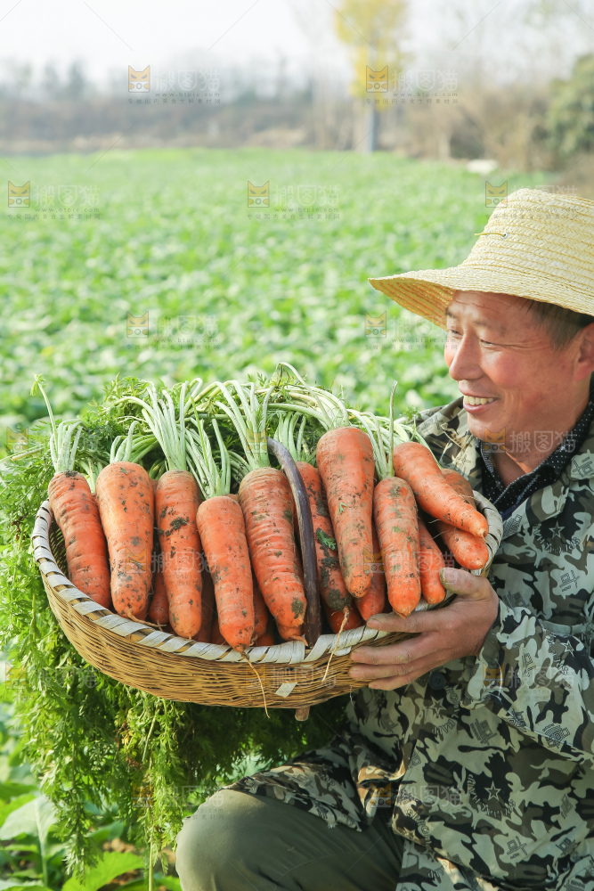 手里拿着胡萝卜
